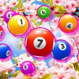 Oradea are marele câștigător! Record istoric la Loto 6/49