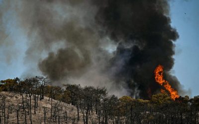 Spania sub cod roșu: MAE atenționează românii pe fondul incendiilor