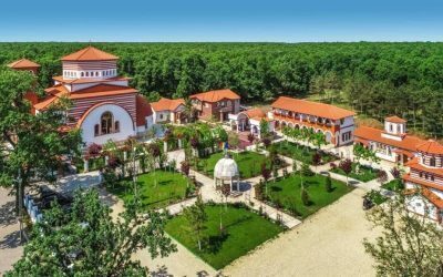 Moaștele Sfântului Vasile ajung în România
