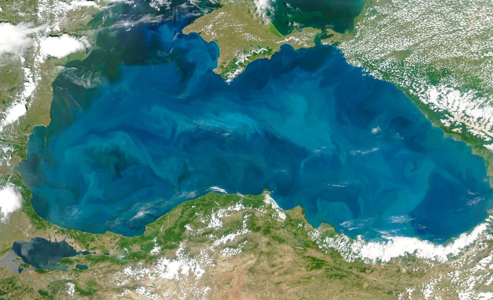 Războiul de la Marea Neagră amenință prețul cerealelor