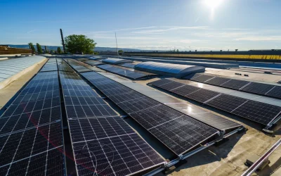Hoții de cabluri, la răcoare în plină criză energetică