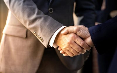 Provectus Capital cumpără Seatbelt Consulting din România