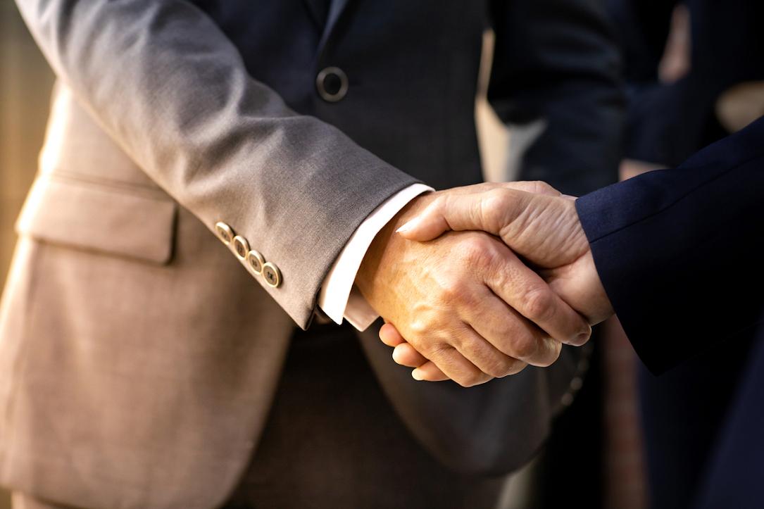 Provectus Capital cumpără Seatbelt Consulting din România