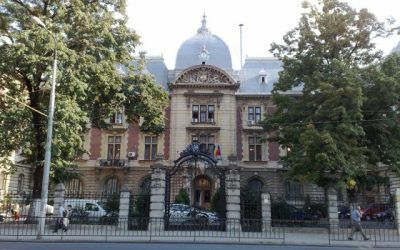 Ministerul Agriculturii: Finanțări pentru viță-de-vie, de pe 17 august