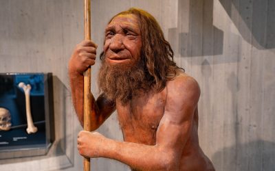 Neanderthalienii, gena musculară: Moștenire surprinzătoare pentru unii români