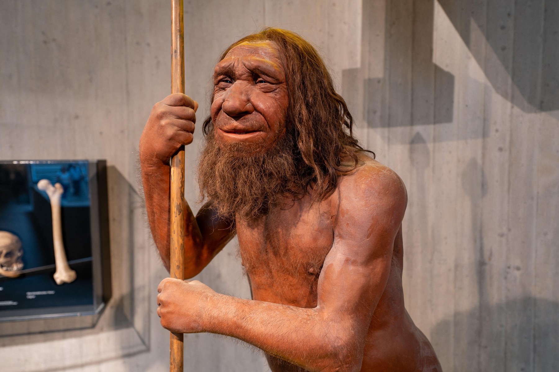 Neanderthalienii, gena musculară: Moștenire surprinzătoare pentru unii români