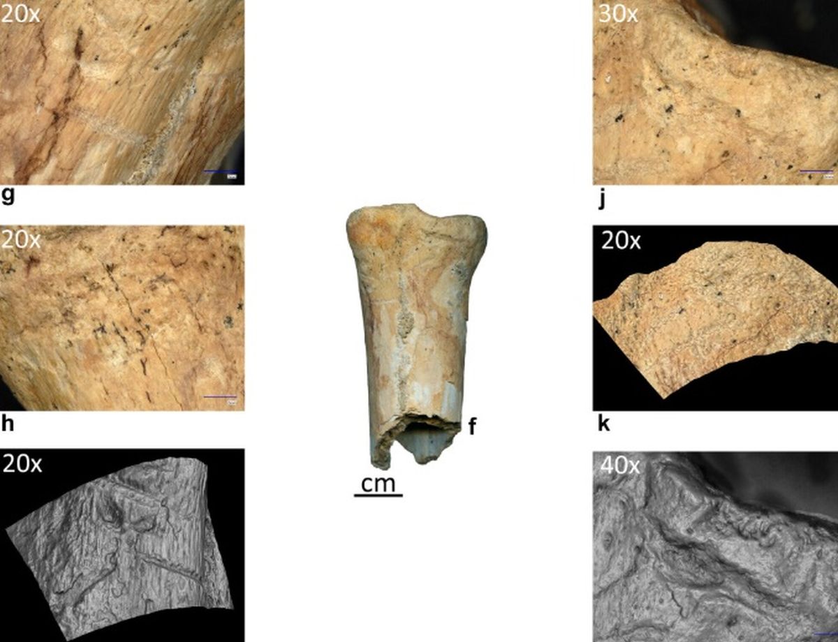 Neandertalienii, unelte din os: Premieră în România