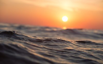 Oceanele, fierbinți ca niciodată. Iulie, luna record
