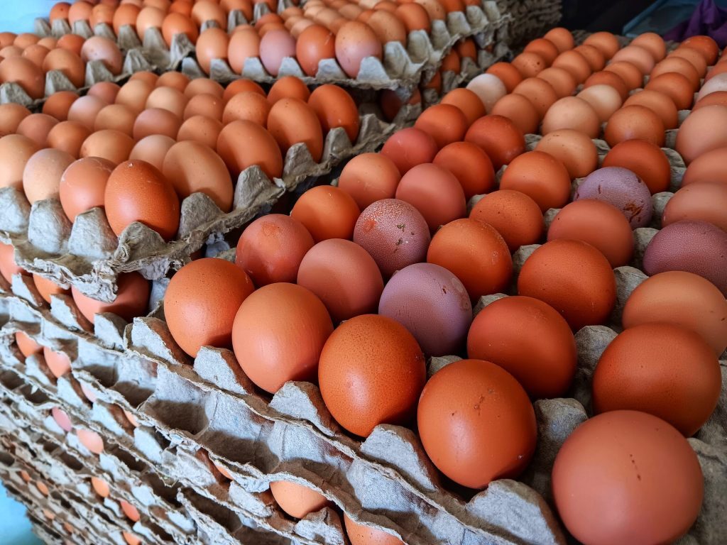 Ouăle bio, un șoc climatic: Mai mari decât cele clasice