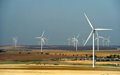 Bușoi (Energie): Eolianul ne scapă de importuri, prognoze bune