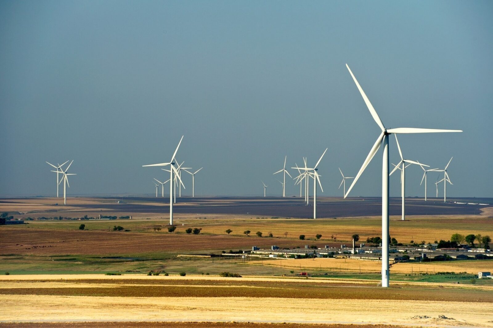 Bușoi (Energie): Eolianul ne scapă de importuri, prognoze bune