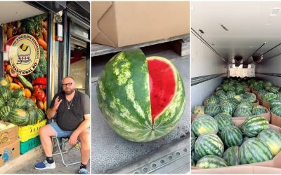 Pepenii din Gottlob ajung la Londra: 20 tone de lubenițe românești la export