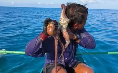 Caracatiță terorizantă pe fața unui pescar din Filipine