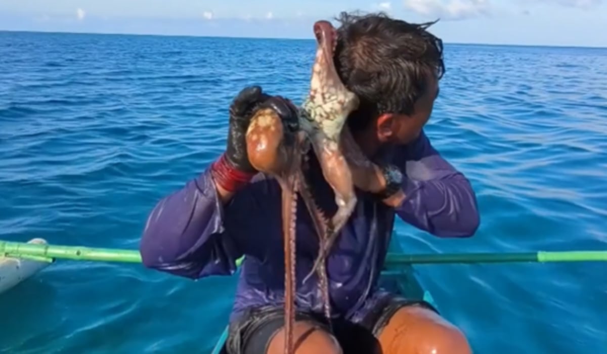 Caracatiță terorizantă pe fața unui pescar din Filipine