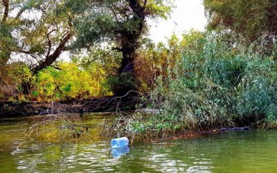Horeca: Canal Uzlina din Deltă, blocat de 7 luni. Urgență!