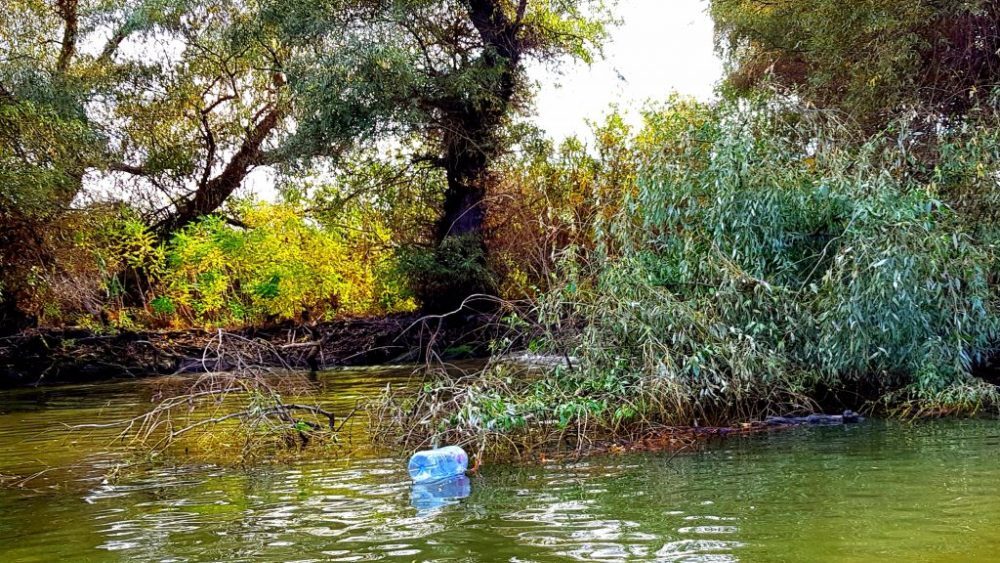 Horeca cere decolmatare Delta: ”Proiecte în evaluare nu justifică blocajul”