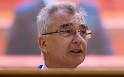 AUR o atacă pe Diana Buzoianu