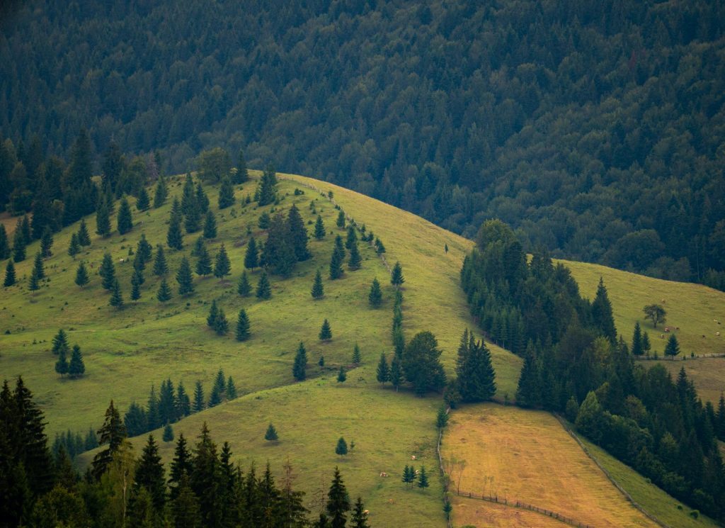 Biodiversitate: 972 mil. Euro vs. Realitatea cruntă din România