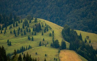 Biodiversitate: 972 mil. Euro vs. Realitatea cruntă din România