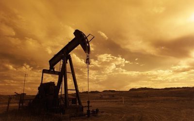 OPEC taie cererea de petrol: Ce ne așteaptă în 2026