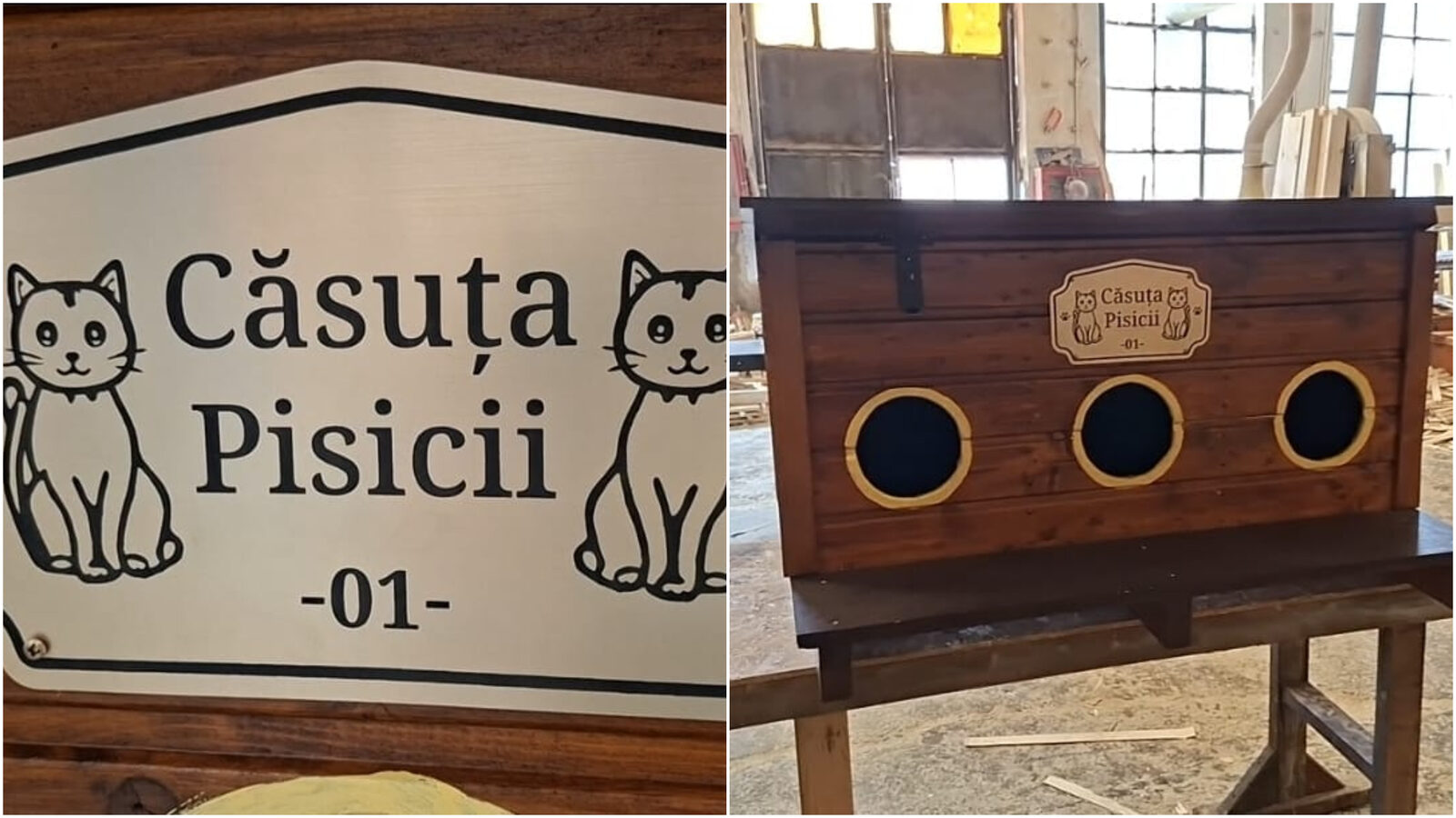 Arad: Pisicile comunitare primesc căsuțe gratis