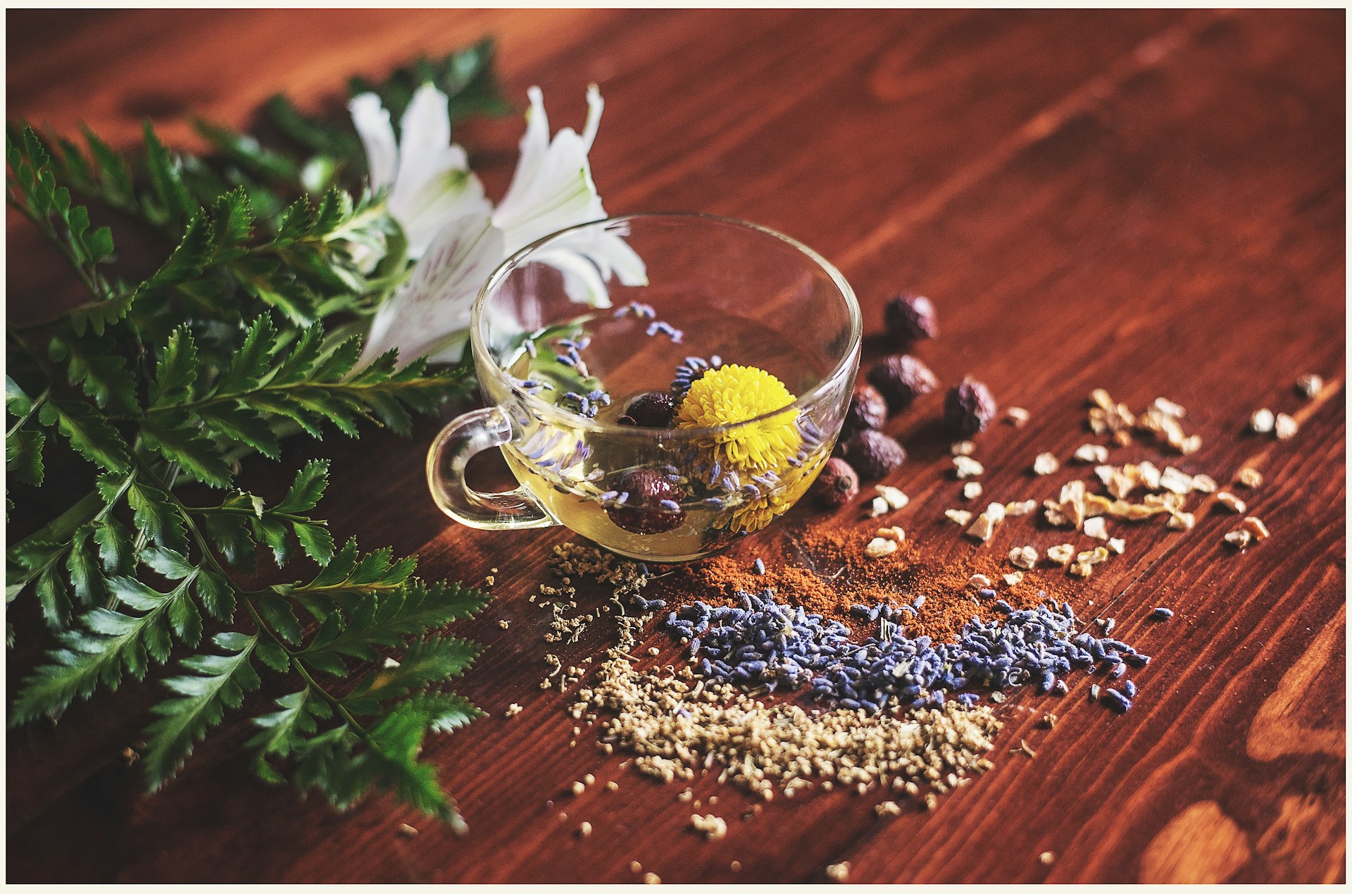 Somn greu? 7 plante, aliatul tău natural