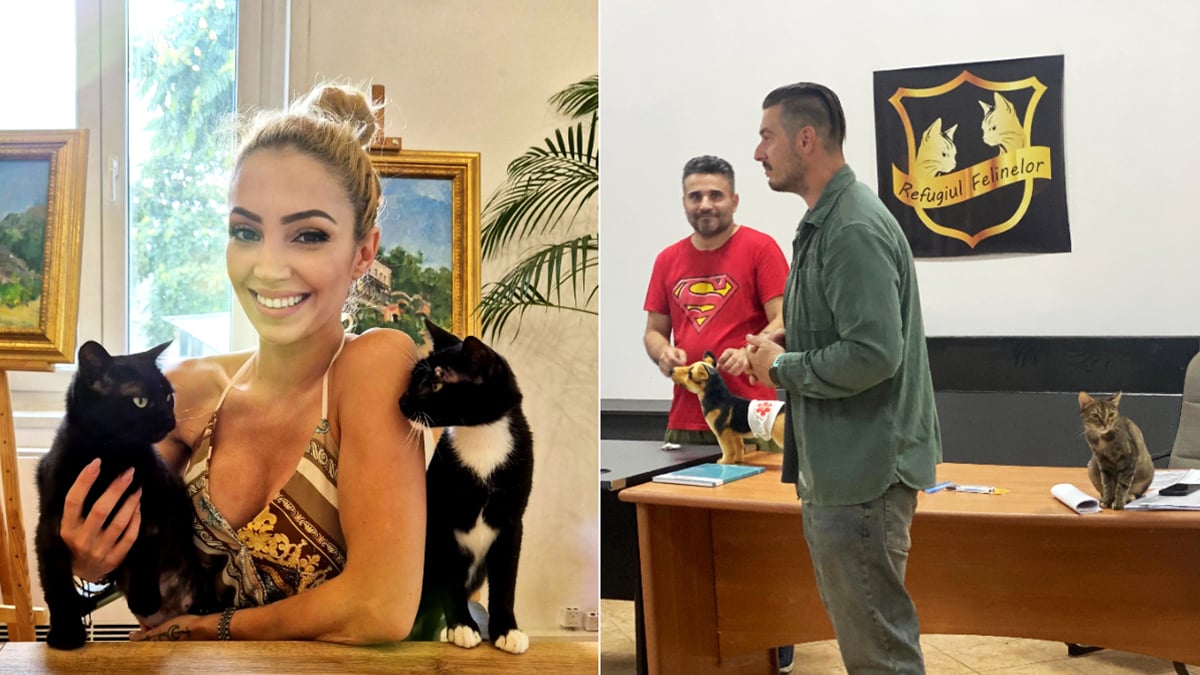 Știi ce nu faci? Asta te salvează