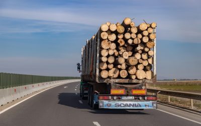 Viteza minimă pe autostradă în 2026: Când ești amendat