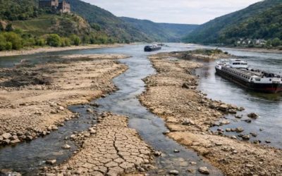 Dunărea se crapă: Seceta o divide în două, dispare transportul naval