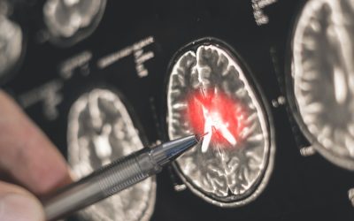 Creierul iubirii și frica: O descoperire surprinzătoare