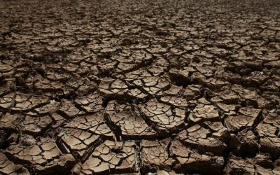 Tibrul atinge minim istoric în 15 ani
