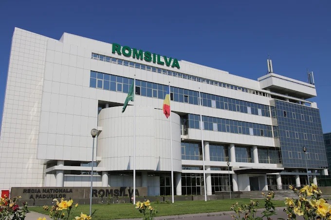 Romsilva, pe locul 2 la contracte fără licitație, după Moinești