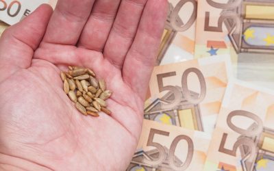 Consiliul Concurenței: 21 de firme amendate cu 15,87 mil. € pe seama fermierilor