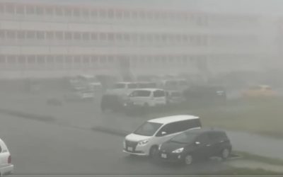 Japonia sub asalt: Delfin a evacuat sute de mii, 500+ zboruri anulate