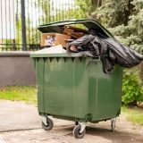 Muște la tomberon: Soluții simple pentru zile călduroase