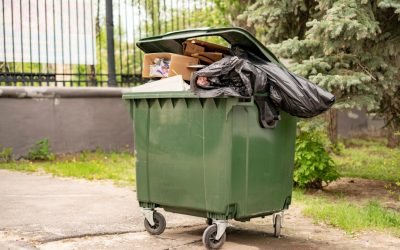 Muște la tomberon: Soluții simple pentru zile călduroase