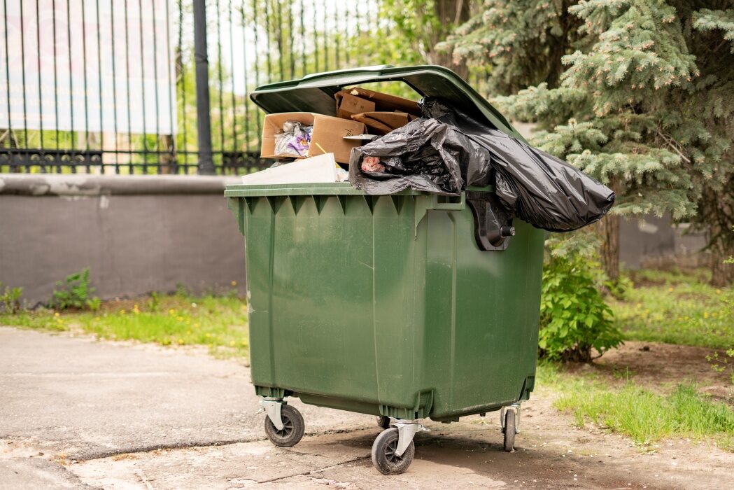 Muște la tomberon: Soluții simple pentru zile călduroase
