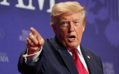 Părul lui Donald Trump, o adevărată atracție. „Arată uimitor!”
