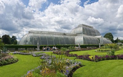 Londra: Prima lună fără ploaie din 1871 încoace