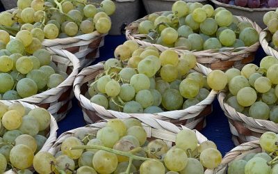 UE încinge carnea: Cafeaua, strugurii, citricele, primele victime