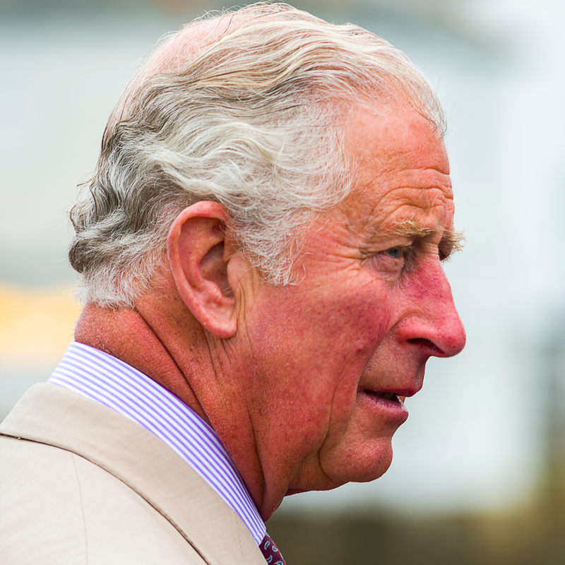 Regele Charles le-a pus la punct pe Meghan și Harry. Ce statut au acum