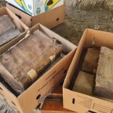 Variola ovină ascunsă în piei de manuscrise medievale
