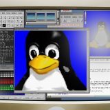 Open-source se radicalizează: Alegeri pe frontul digital