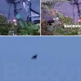 Dronă prăbușită în Suceava. Sirene Ro-Alert în Botoșani