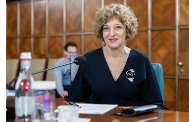 Oana Gheorghiu, despre drapelul AUR: „Aberantă și stupidă”