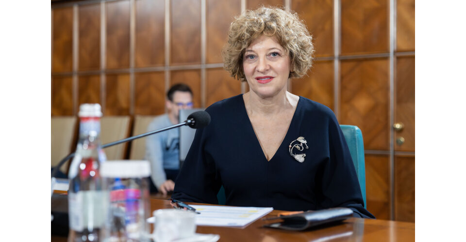 Oana Gheorghiu, despre drapelul AUR: „Aberantă și stupidă”