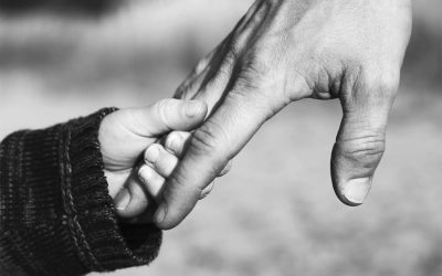 Ungaria deschide adopția cuplurilor gay, rupe o lege Orban