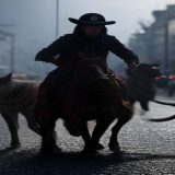 Polițist mușcat la încătușare de un bețiv pe stradă