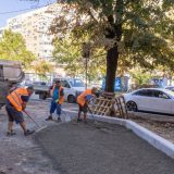 Coridor verde pe Calea 13 Septembrie: Bucureștiul, plin de peste 200.000 de plante