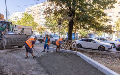 Coridor verde pe Calea 13 Septembrie: Bucureștiul, plin de peste 200.000 de plante
